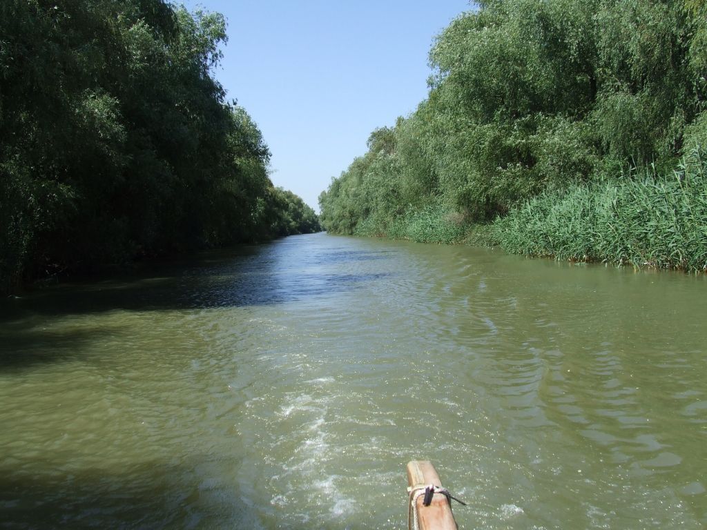 Două ambarcaţiuni cu turişti s-au ciocnit în zona Dunăvățu de Jos în Delta Dunării