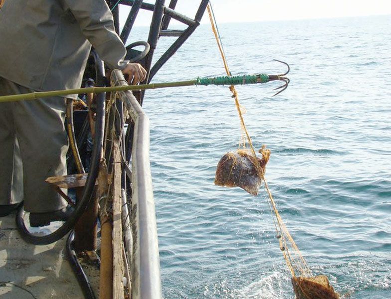 Modificare legislativă: Pescuitul de calcan se poate face şi cu monofilare