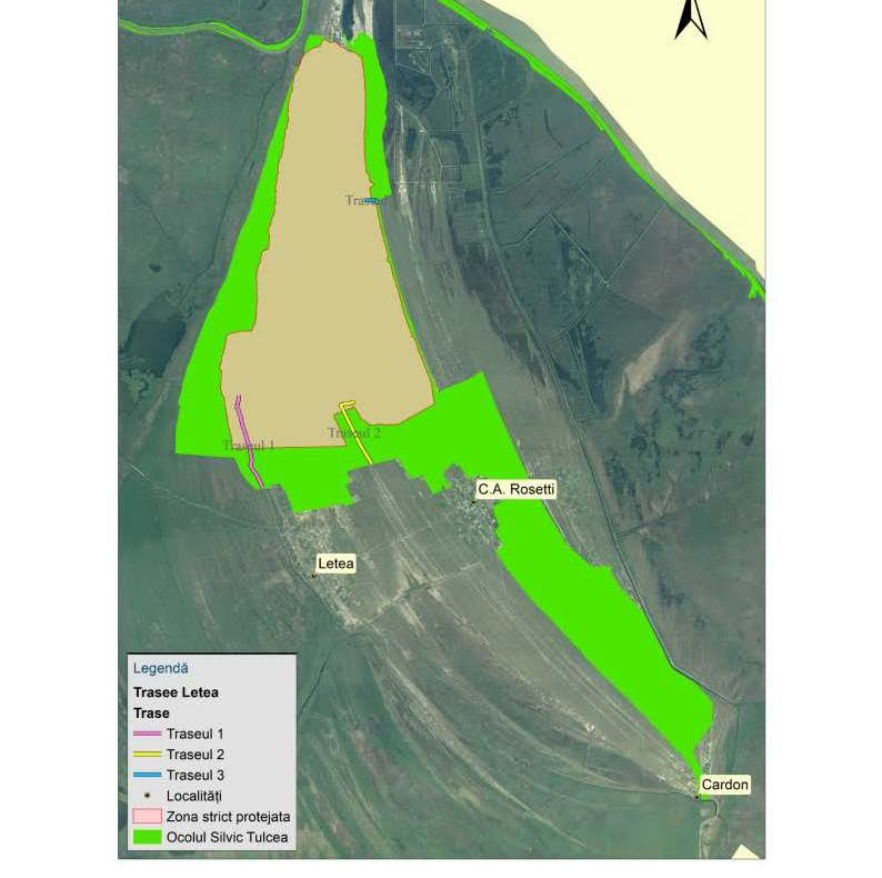 ARBDD propune trei trasee pentru vizitarea Pădurii Letea
