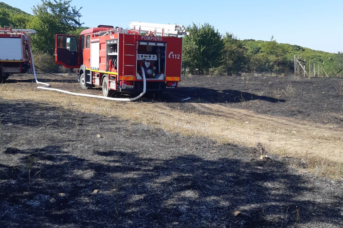 De la borș de pește la o intervenție de stingere a incendiului