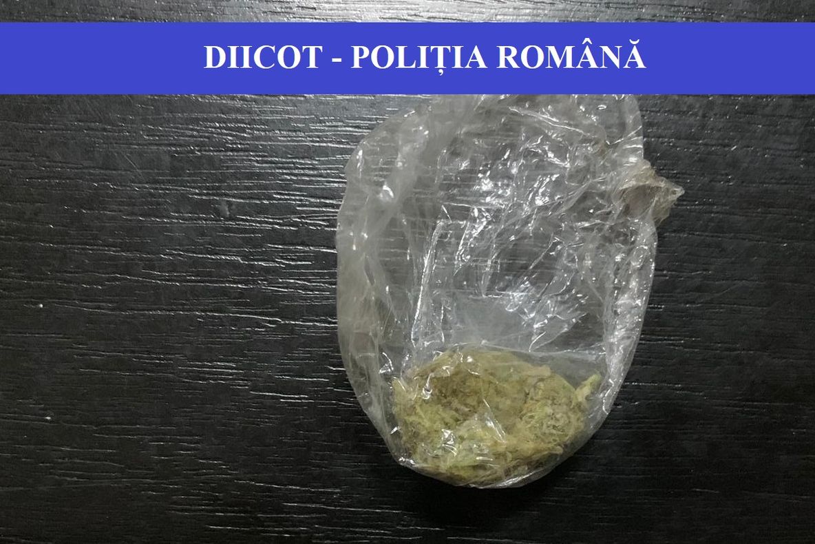 Dealeri de etnobotanice reținuți de DIICOT Tulcea