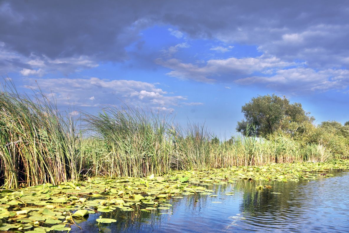 August plin, septembrie promițător în Delta Dunării