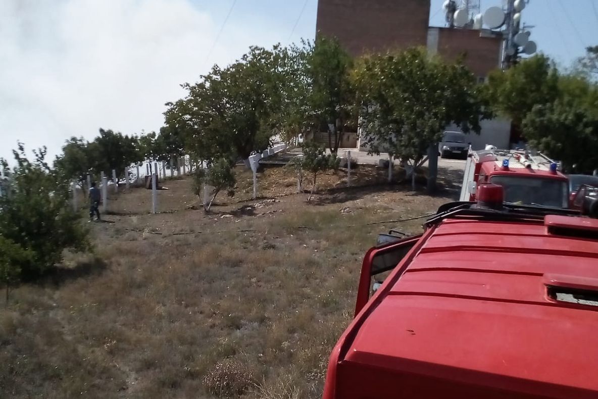 Incendiu în apropierea Releului Radio TV de la Mahmudia!