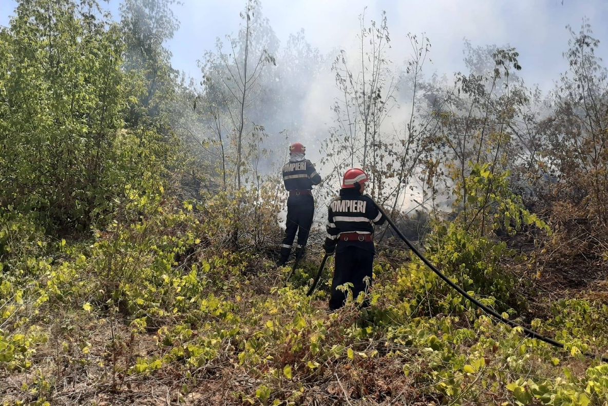 Trei incendii concomitente de vegetaţie uscată au trimis pempieri la Tulcea, Babadag ;i Greci