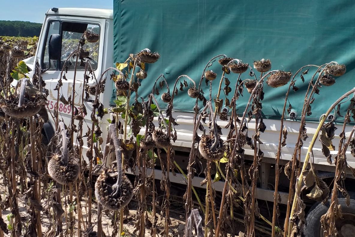 Accidentul rutier de la Ostrov nu a fost ...accident rutier!