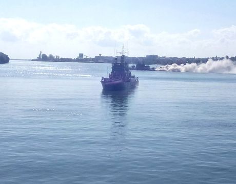 Danube Protector 19, exerciţiu militar în Delta Dunării