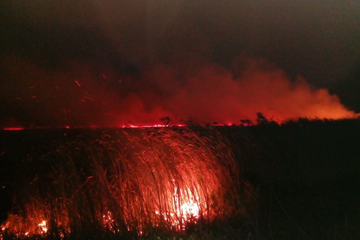 Zece hectare de teren cu vegetaţie uscată arde la Mila 23