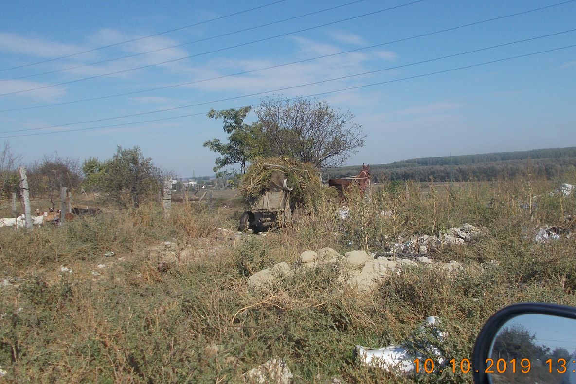 Educaţie pentru sănătate la Valea Teilor pe fonduri europene