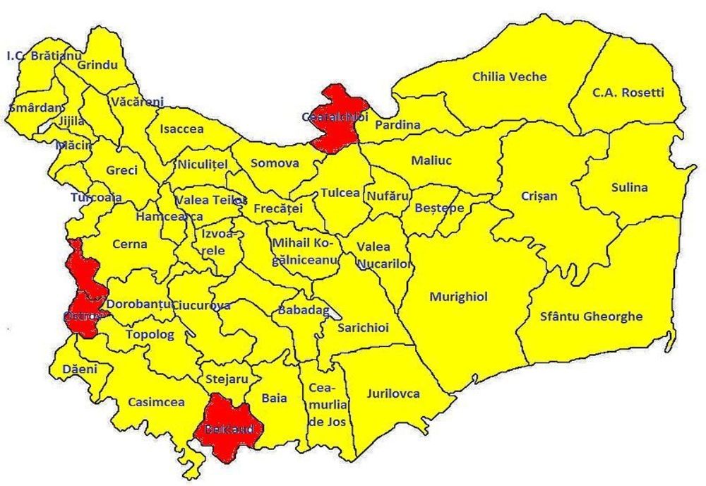 Numărătoare paralelă: Viorica Dăncilă a câştigat doar la Beidaud, Ceatalchioi, Ostrov şi Pecenega