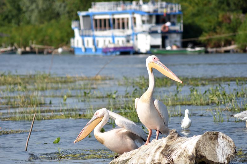 Calendarul evenimentelor din destinația turistică județul Tulcea pentru anul 2020