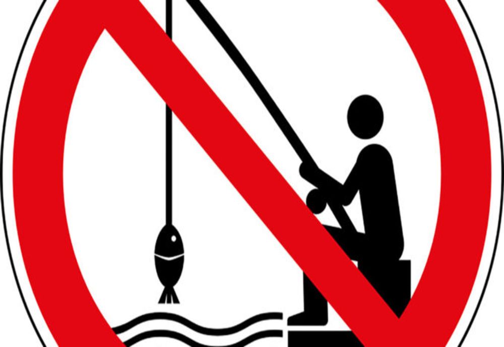 A început prohibţia la ştiucă. Prohibiţia generală din 4 aprilie