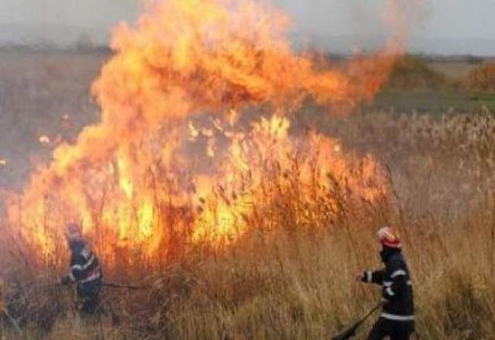 Aproximativ 30 de hectare de vegetaţie uscată şi stuf, afectate de un incendiu