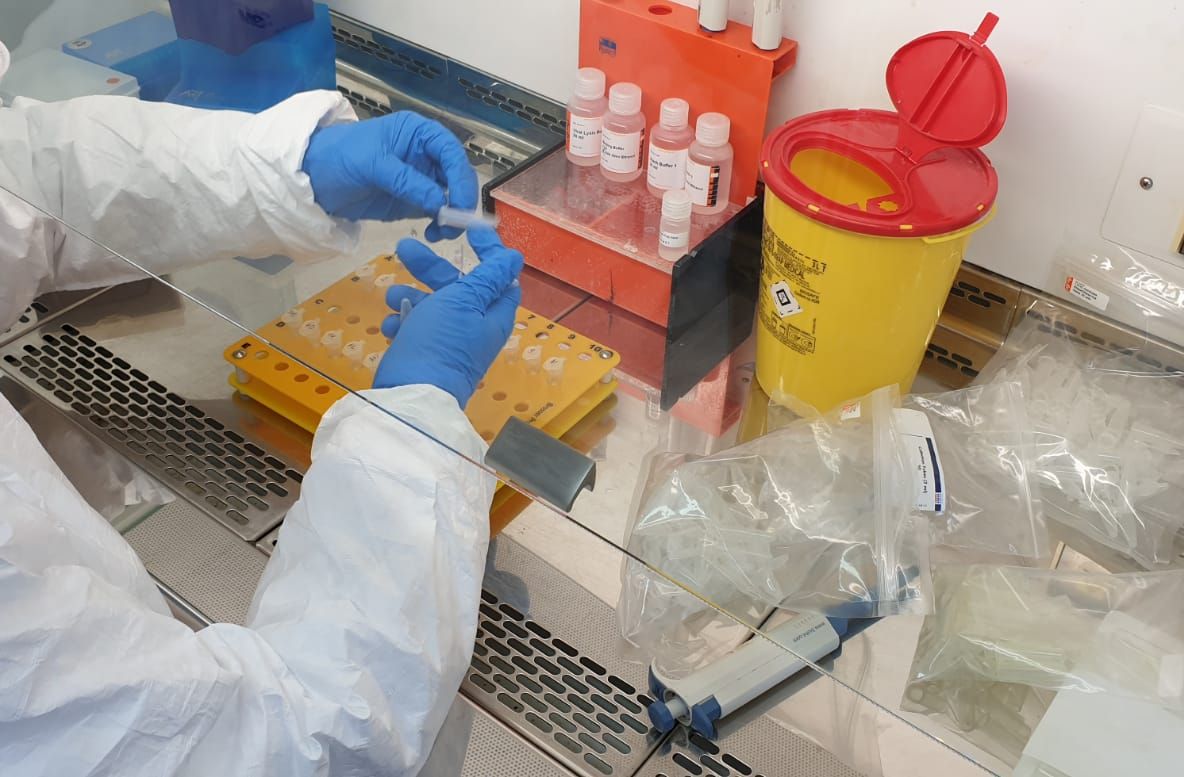 Laboratorul COVID-19 de la Tulcea lucrează primele teste!