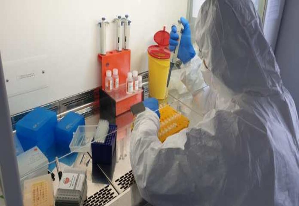 Peste o sută de analize COVID-19 la Laboratorul DSVSA Tulcea! 