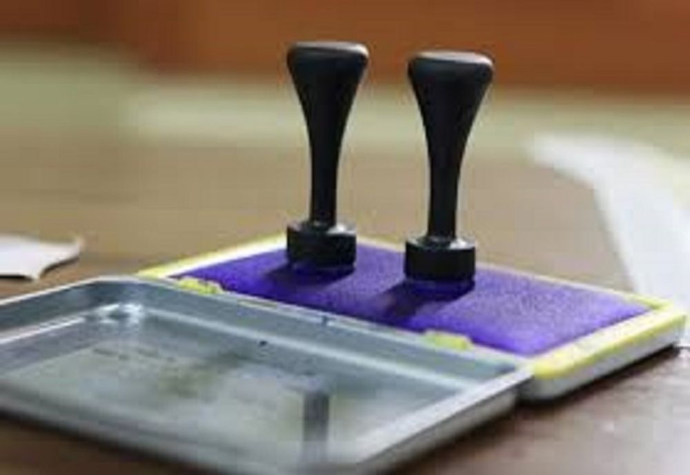 Alegeri locale 2020, județul Tulcea ora 11 :00 –  13,20 % prezență la vot