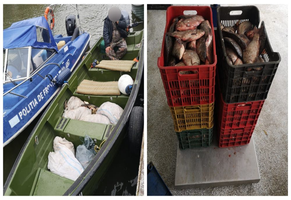 Braconier prins pe canalul Caraorman cu barca plină de pește 