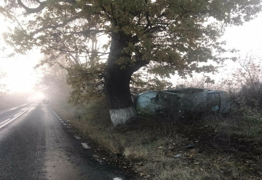 A intrat cu mașina într-un copac în apropiere de Niculițel