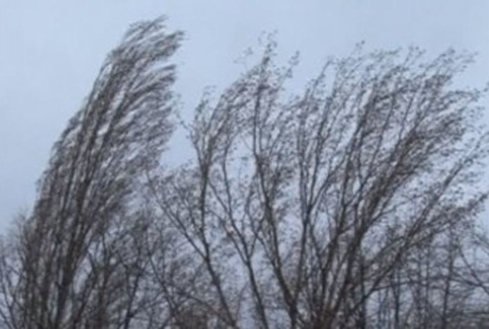 ALERTĂ! Cod galben de vânt în județele Constanța și Tulcea