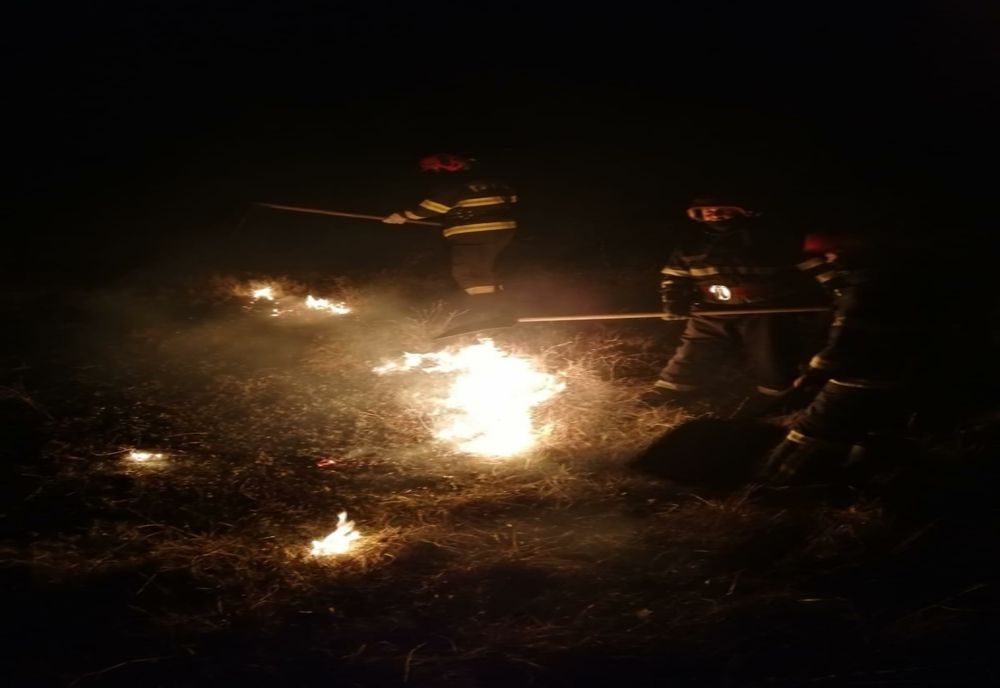 Incendiu violent de vegetație uscată și stuf în Tulcea