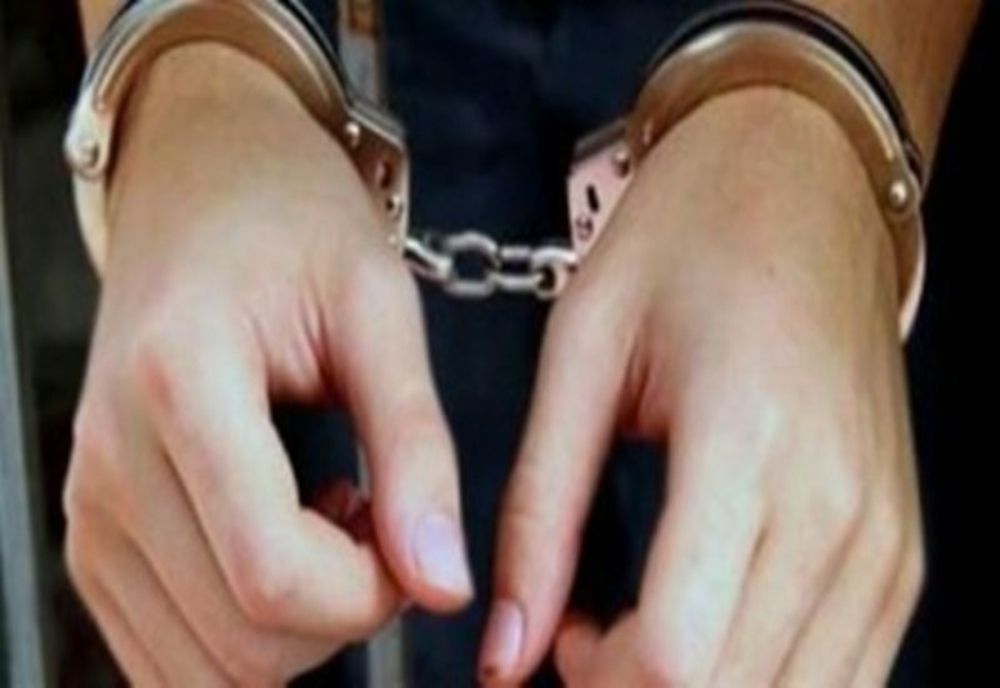 Patronul firmei care trebuia să incinereze oile de pe nava eșuată în portul Midia, reținut