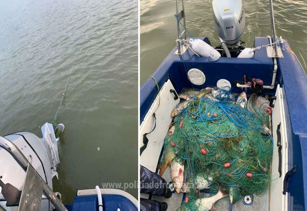 Braconaj piscicol în Rezervația Biosferei Delta Dunării