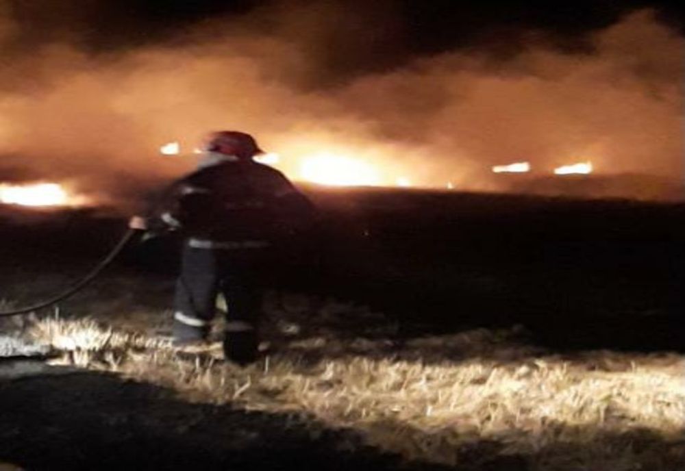 FOTO Incendiu violent de miriște