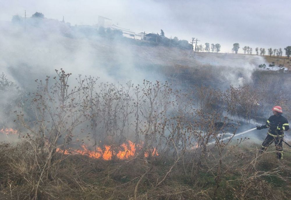 Incendiu violent în apropierea municipiului Tulcea