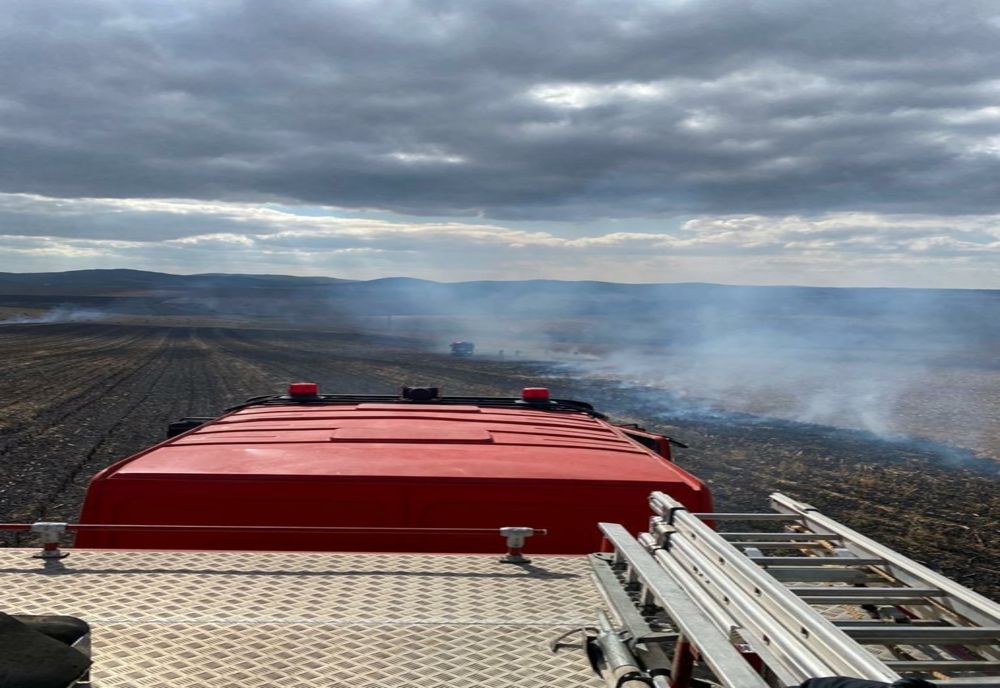 Pârjol la Somova.  20 hectare de miriște de porumb făcute scrum