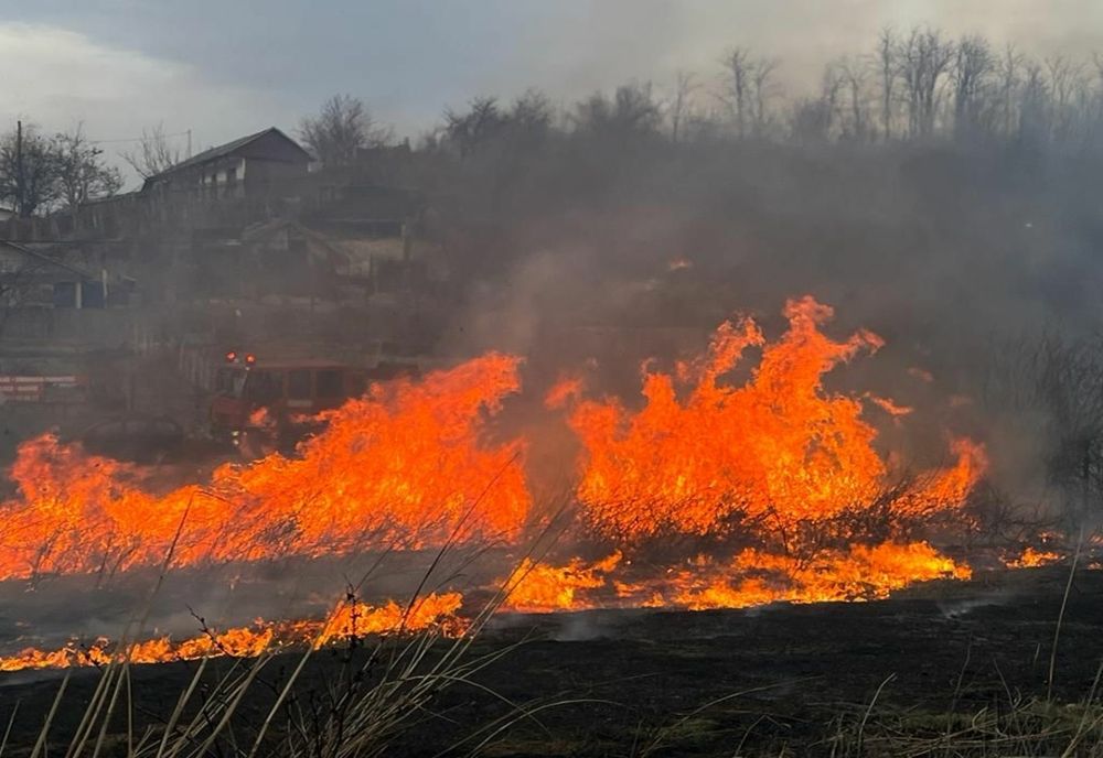 VIDEO Incendiu violent în zona Lacului Somova