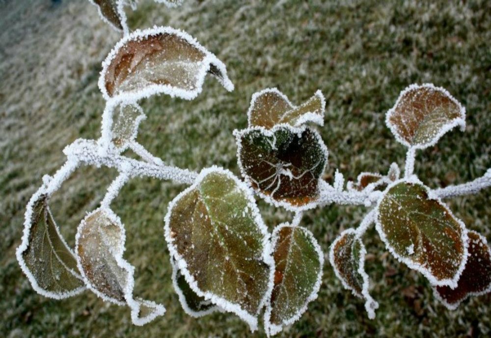 Nopți foarte reci și COD GALBEN de vânt în următoarele zile! Vezi regiunile afectate și cât durează
