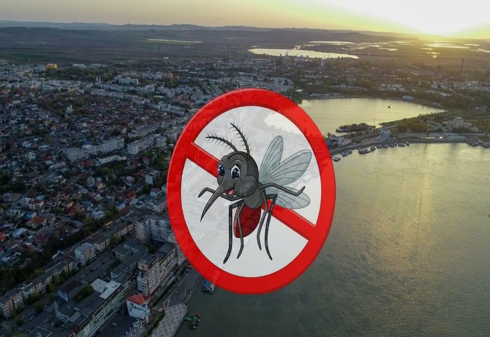 A început dezinsecția în municipiul Tulcea