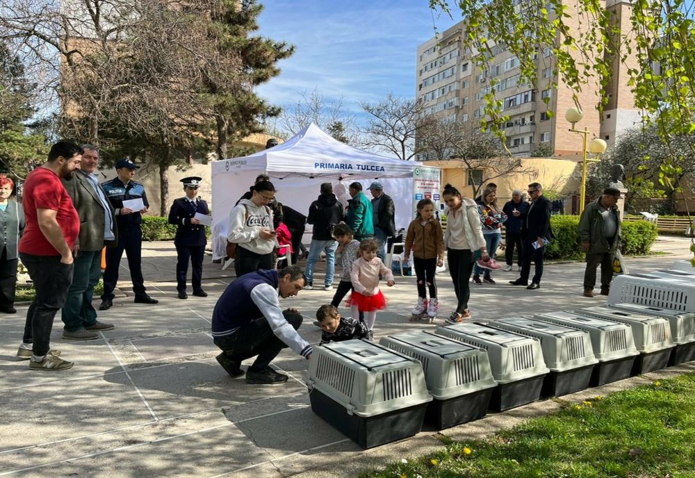 FOTO 31 de câini și-au găsit o casă prin târgul de adopții