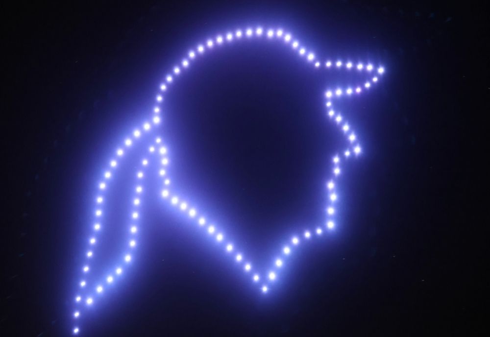 A început Festivalul Ivan Patzaichin - Rowmania 2022