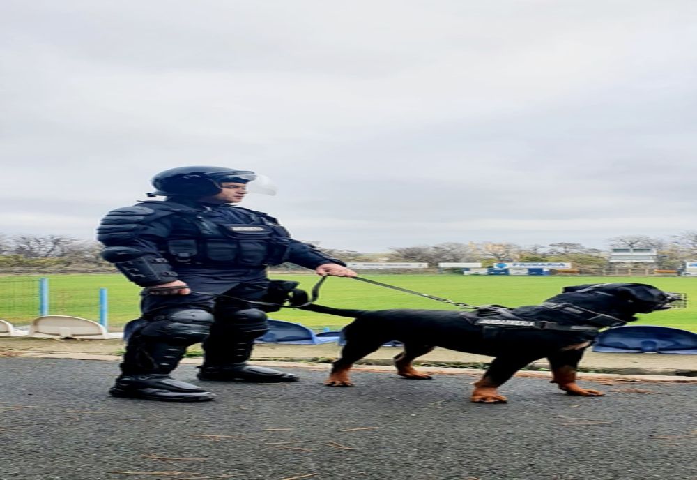 Jandarmii tulceni merg la fotbal în weekend