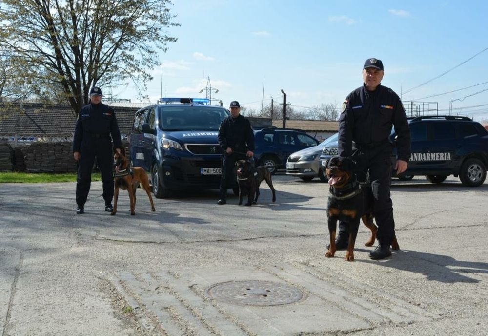 O altfel de școală alături de jandarmi