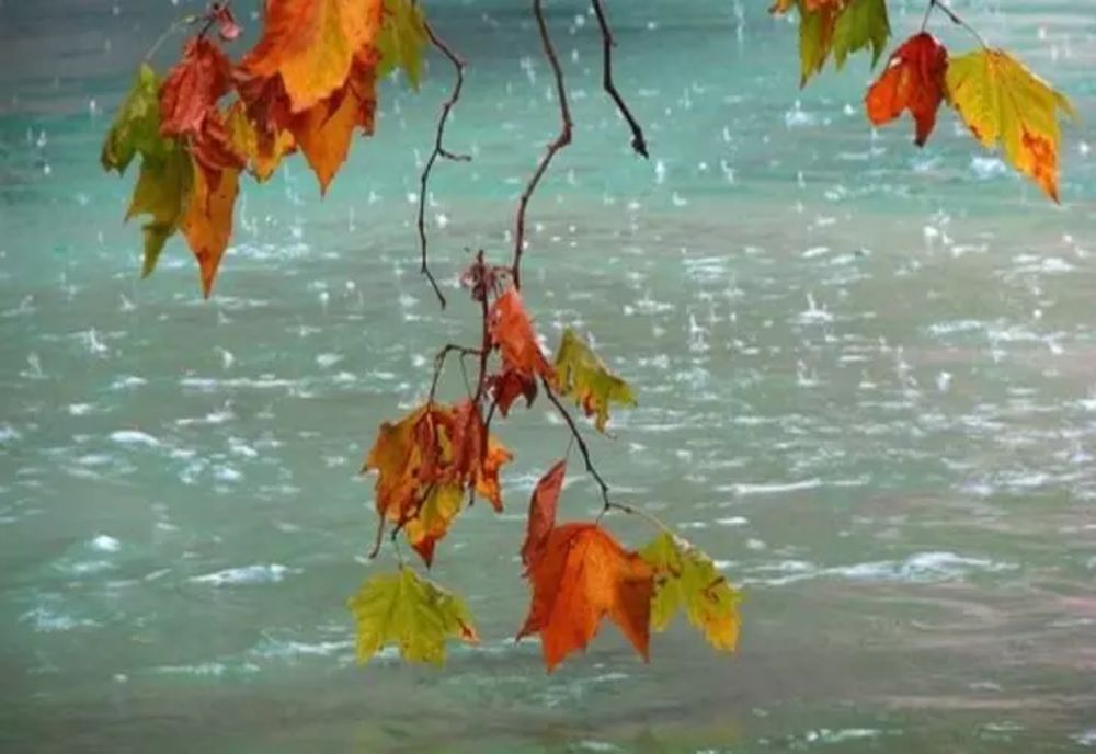 VREMEA 20 NOIEMBRIE. PRECIPITAȚIILE VOR CUPRINDE TOATE REGIUNILE