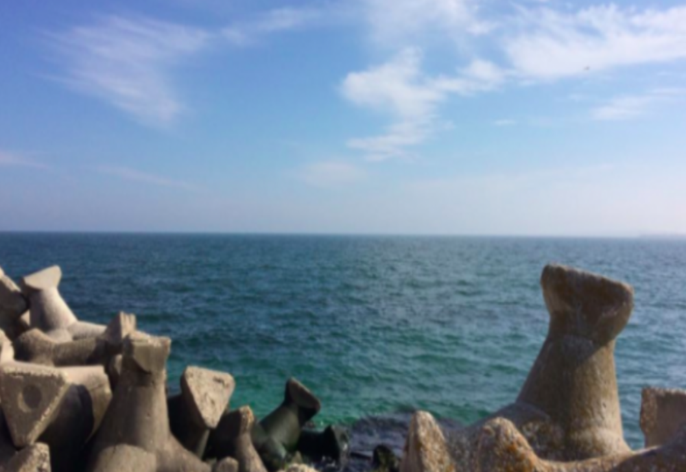 Marea Neagră a fost invadată de o specie periculoasă din cauza războiului cu Ucraina. „Să cazi în apă este chiar mai grav decât să te îneci”