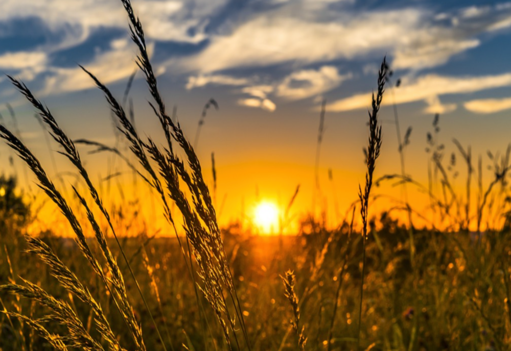 Vremea 30 iunie.  Vreme călduroasă în cea mai mare parte a țării