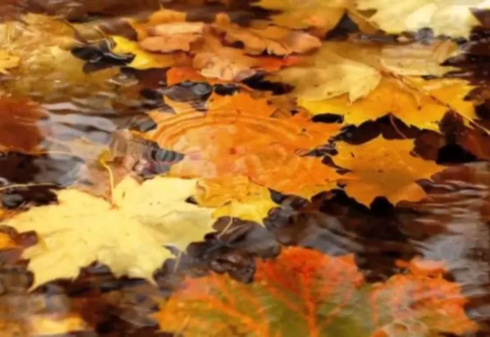 VREMEA 29 NOIEMBRIE. TEMPERATURI SCĂZUTE ȘI PLOI