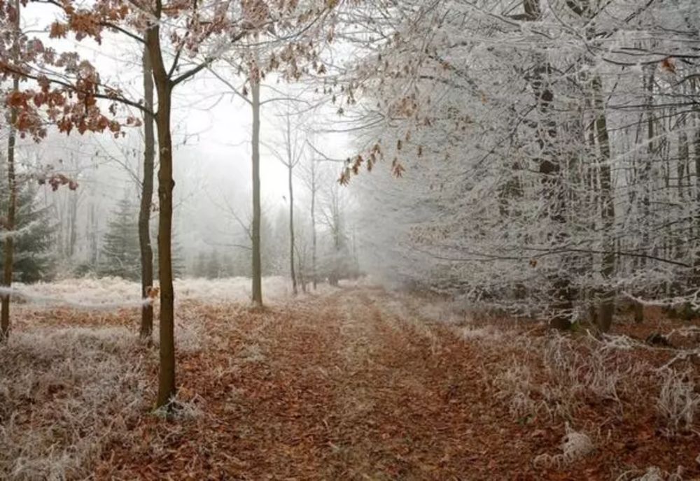 VREMEA 5 DECEMBRIE. VREME ÎNCHISĂ ÎN TOATĂ ȚARA