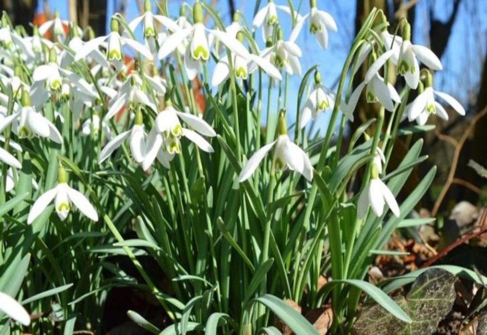 Vreme neobișnuit de caldă, în România. Temperaturi de până la 23 de grade Celsius, dar și rafale de până la 100 km/h