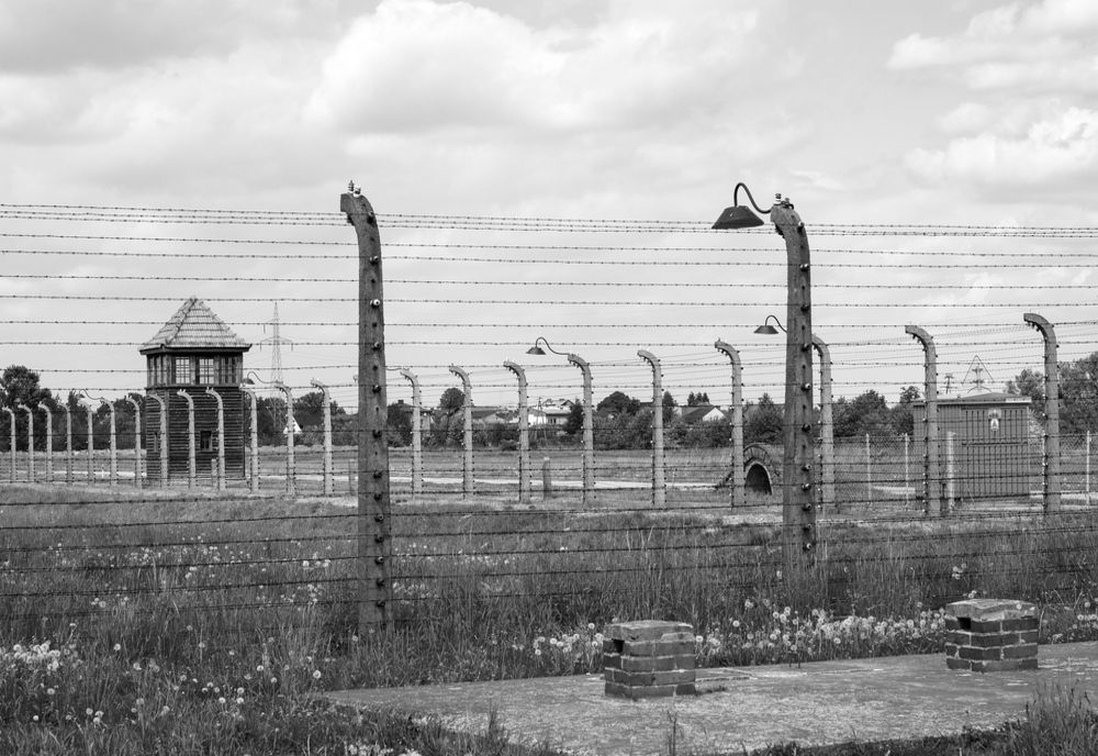 MUZEUL DE LA AUSCHWITZ A LANSAT O CAMPANIE DE COMBATERE A NEGĂRII HOLOCAUSTULUI ÎN REȚELELE SOCIALE