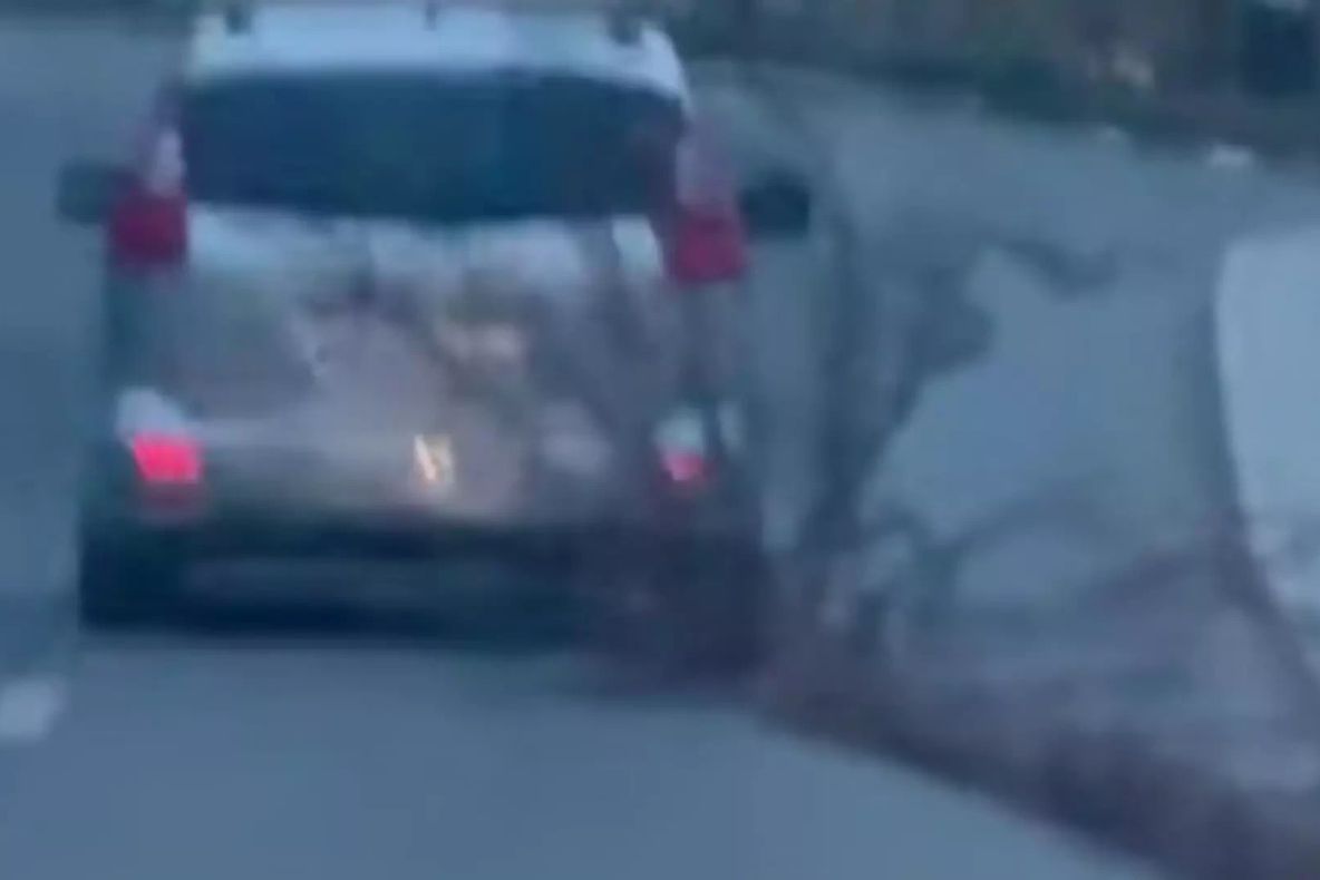 Incident șocant în Bistrița: un autoturism a târât pe șosea un trunchi de copac de 16 metri. Primarul Gabriel Lazany: „Un pericol uriaș pentru oameni”