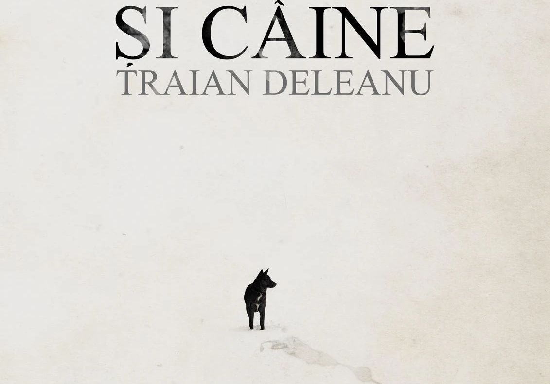 Expoziție inedită la Sibiu: Promovează abordarea prietenoasă a întâlnirii turiștilor cu animalele de la stână, în drumețiile montane