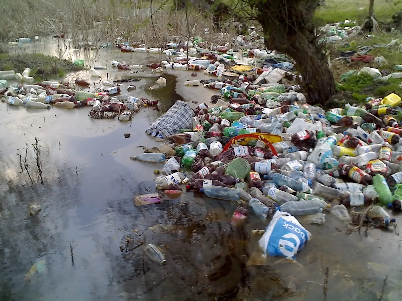 foto gunoaie delta
