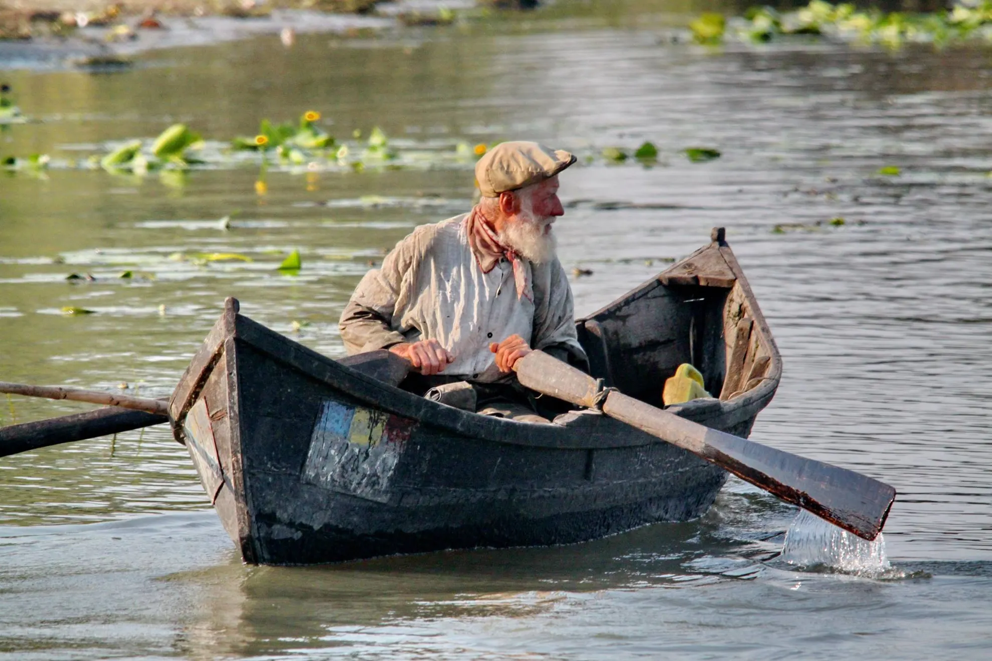 pesca-0