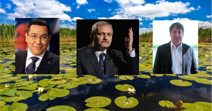 ponta dragnea malin