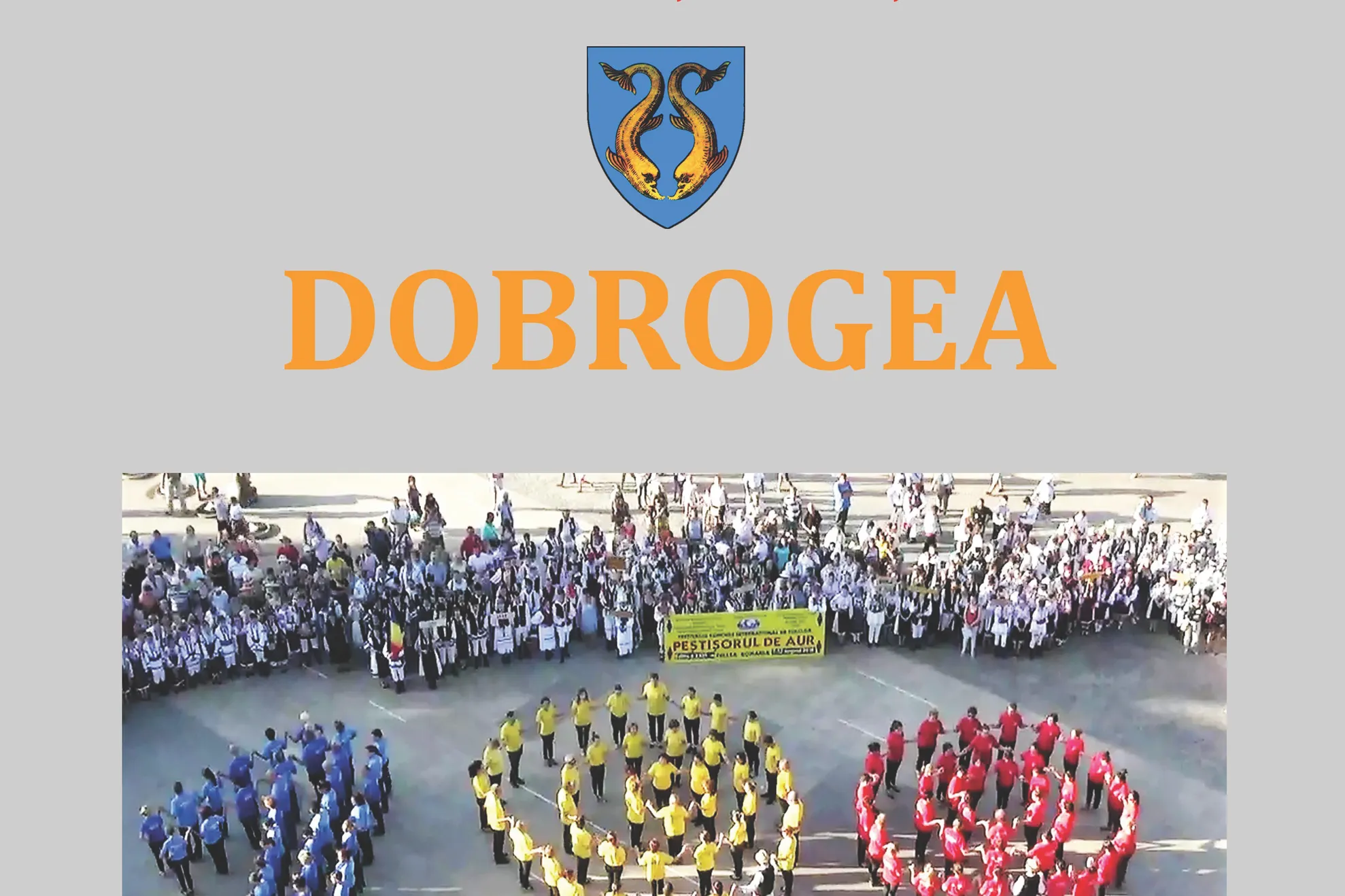 20 FEBRUARIE (1) - Copy