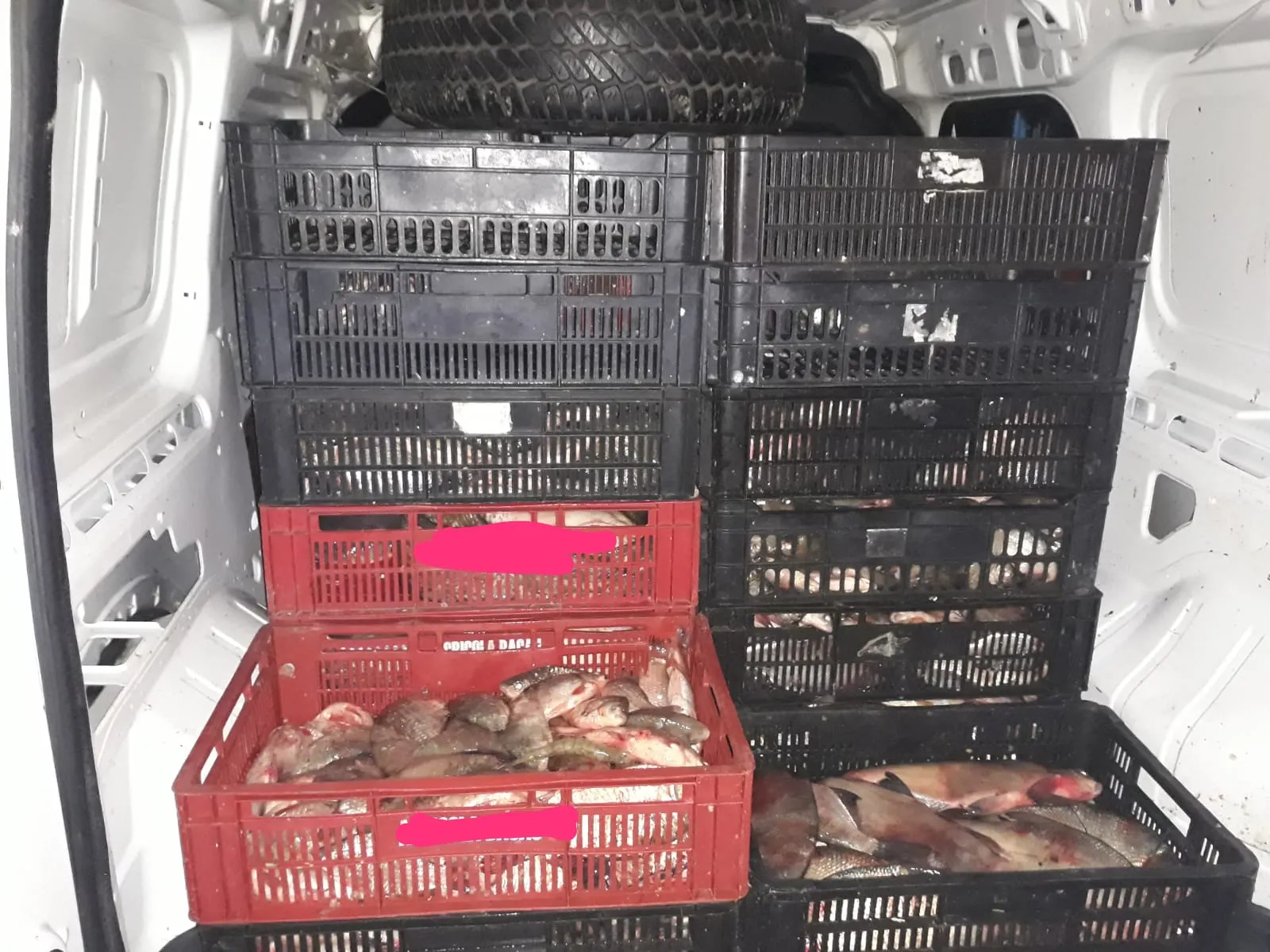 IMG-20190218-WA0001