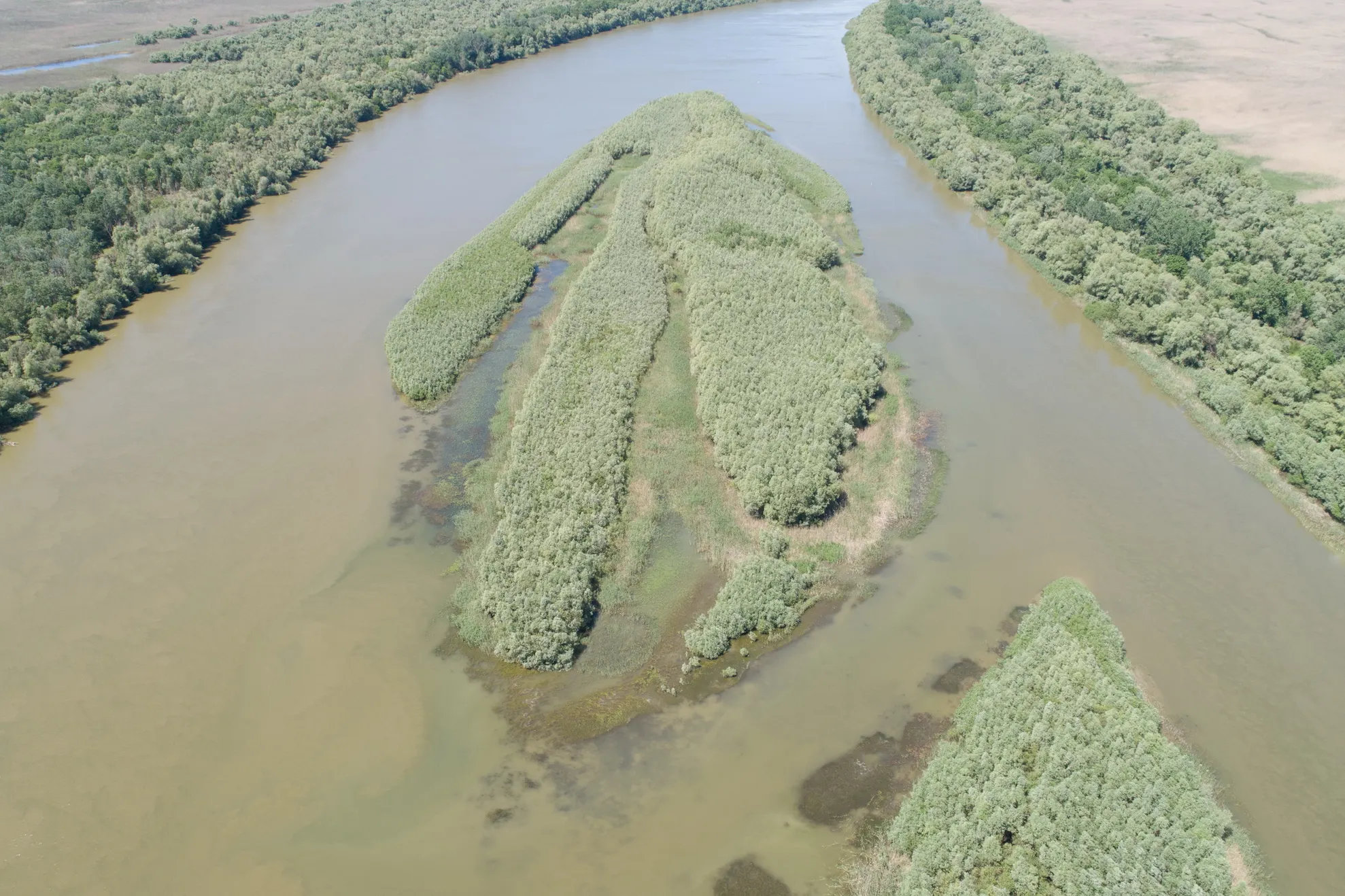 DJI_0172